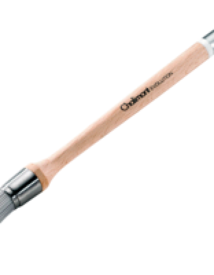 BROSSE RECHAMPIR AQUASILVER